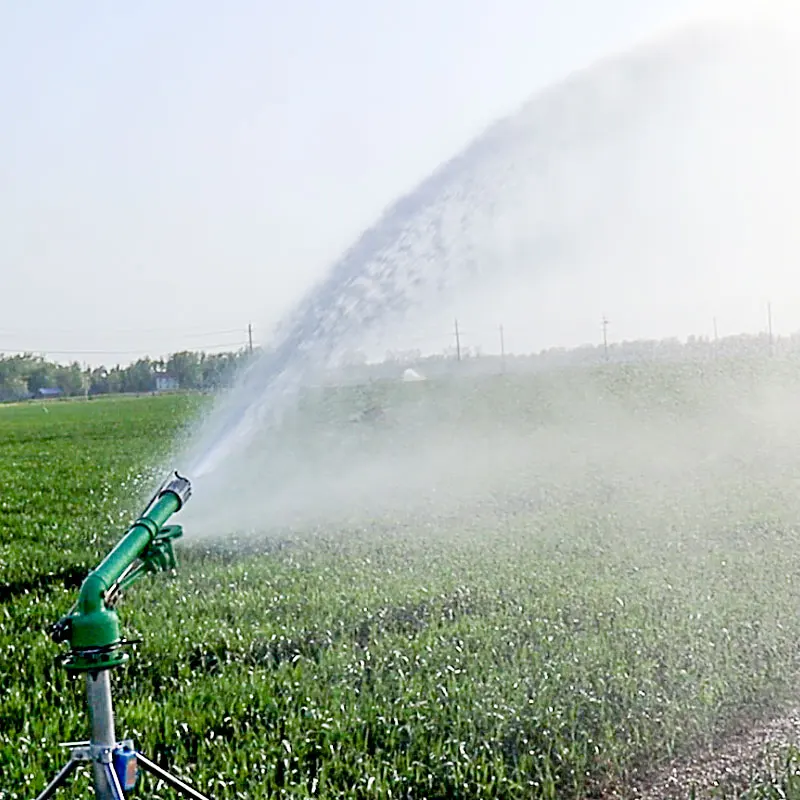 Organic Farming In Agriculture - Tarımsal Mısır Çiftliği Yağmurlama Sistemi 360