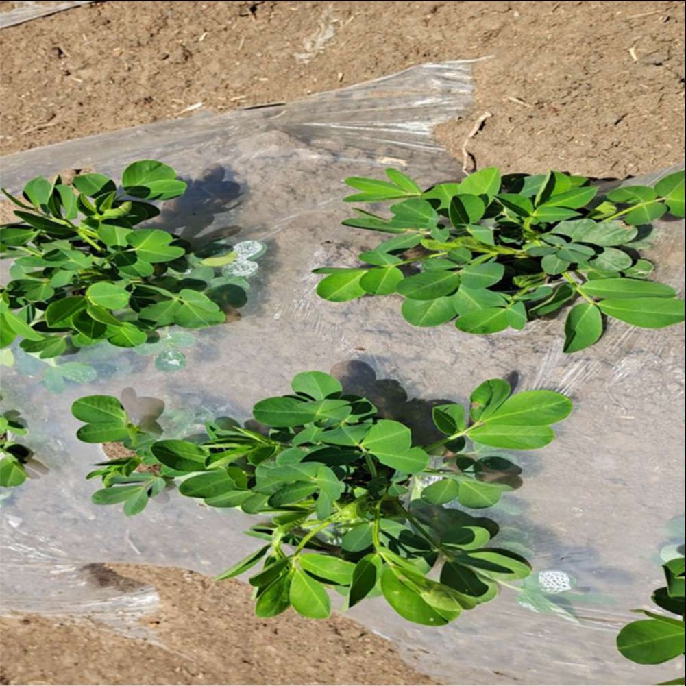 Tarım Çiftliği Sera Plastik Fi - Greenhouse Plastic Film incelemesi ve fiyatı