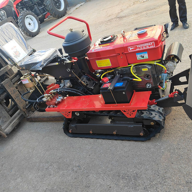 1 Yıl Garantili Kompakt Boyutl - Farming Year incelemesi ve fiyatı